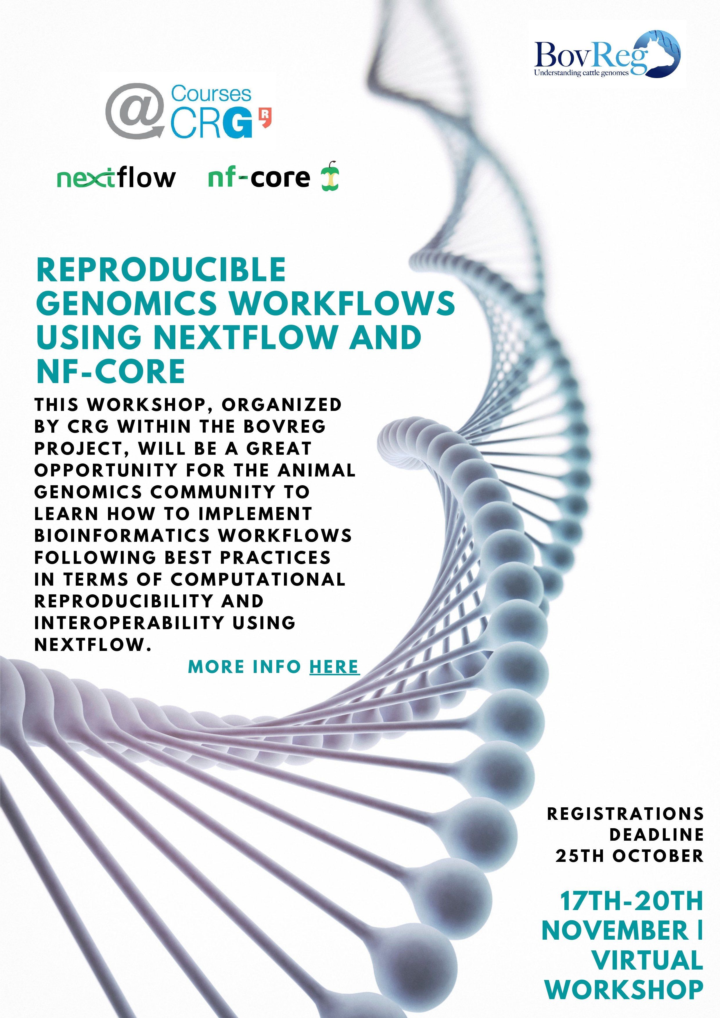 nf-bovreg-workshop20-poster.jpg