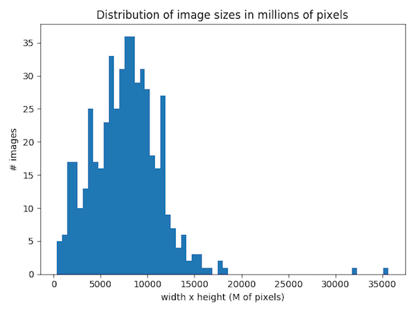 distribution-of-svs-image-sizes.png