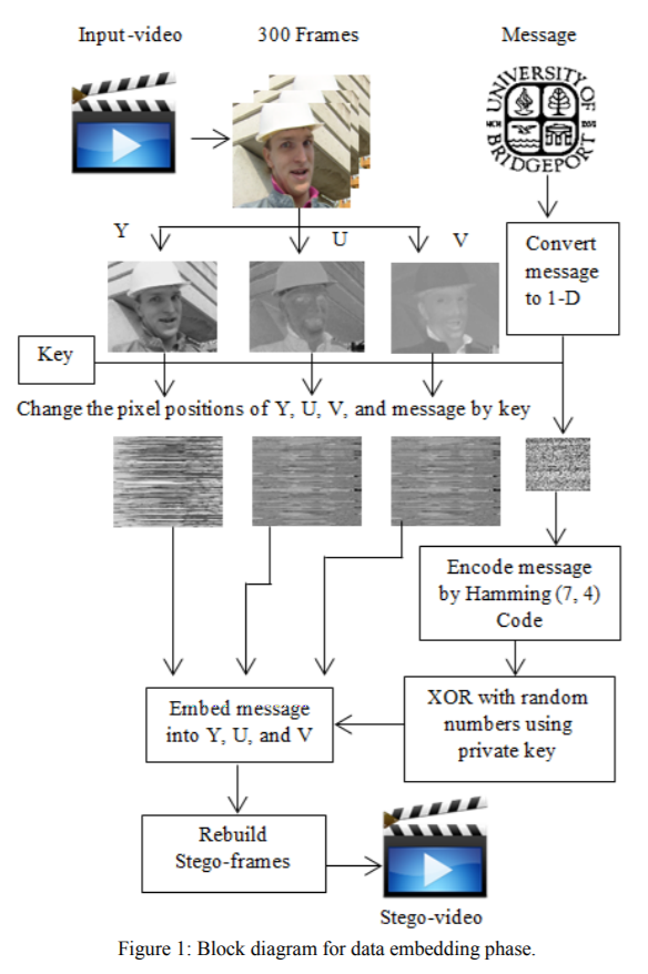 steganography_encoding.png