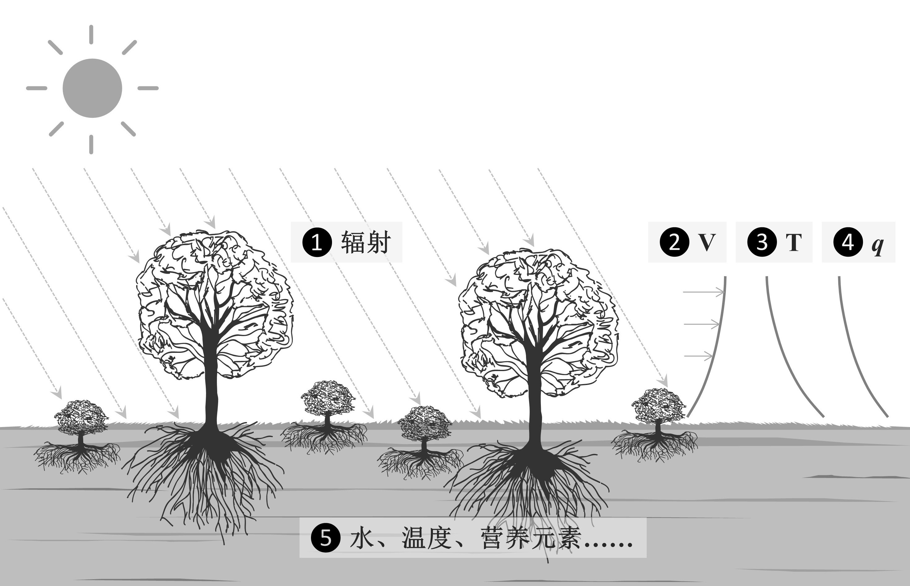 植物群落示意图_v2.jpg