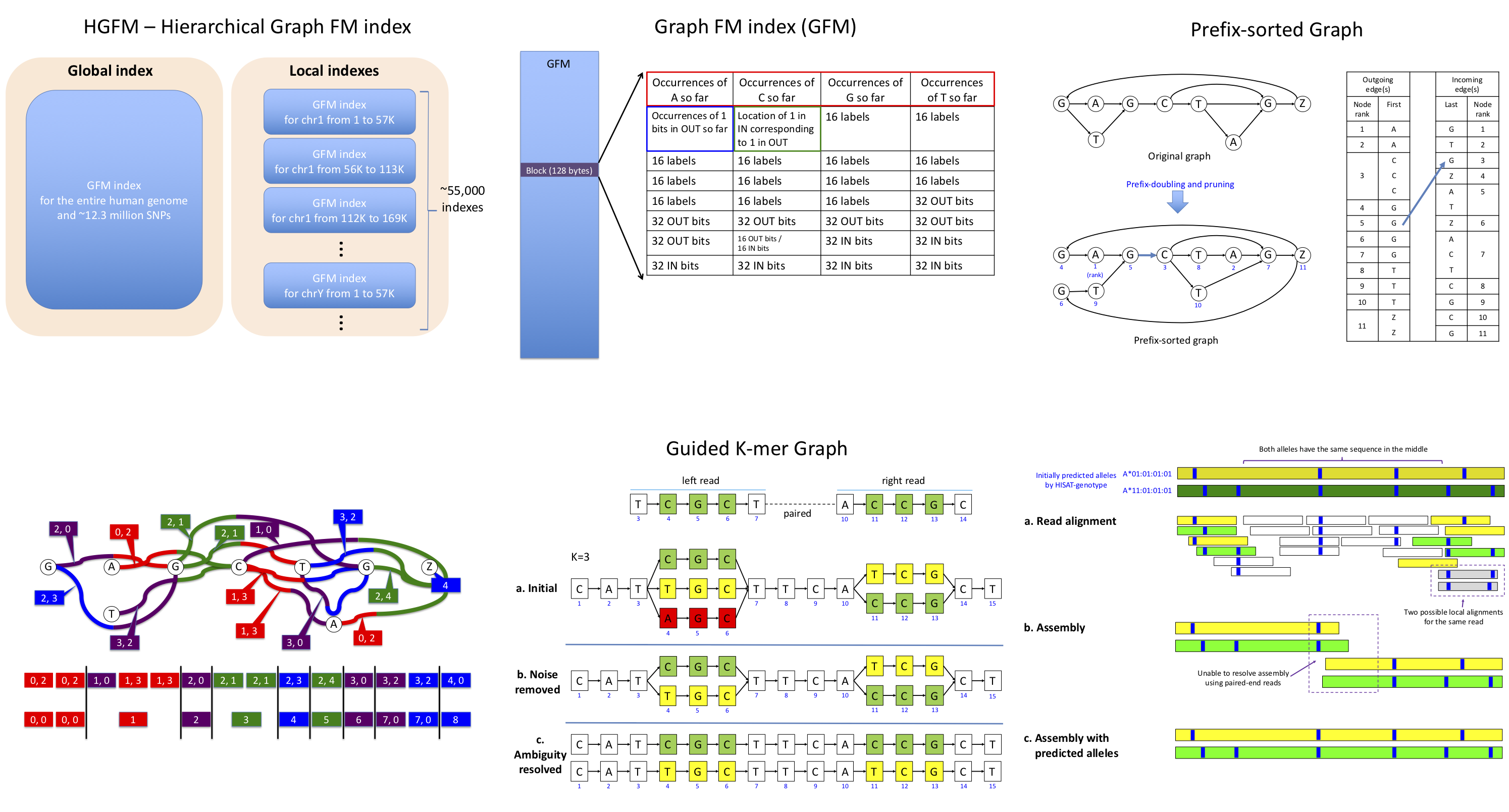 HISAT2-genotype.png