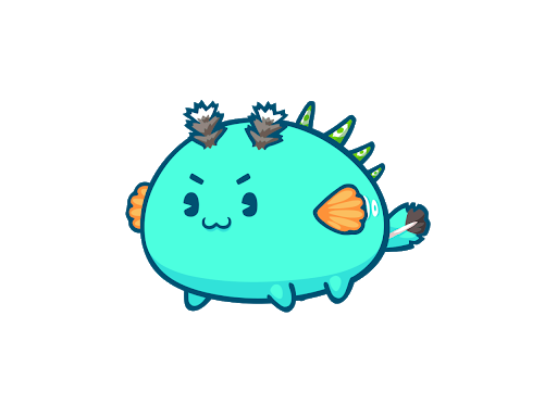 axie-example.png