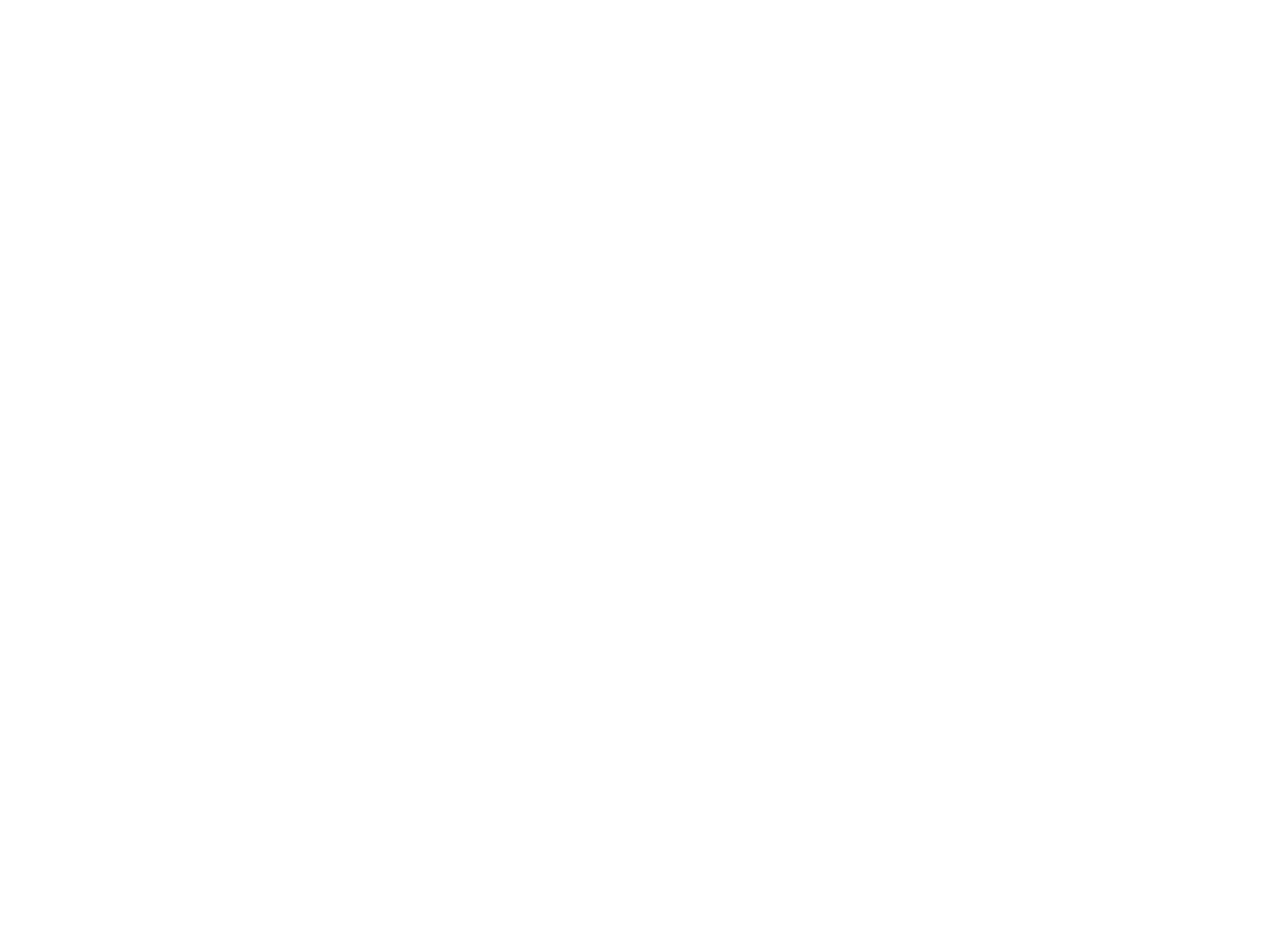 flagAI_stacked-white.png