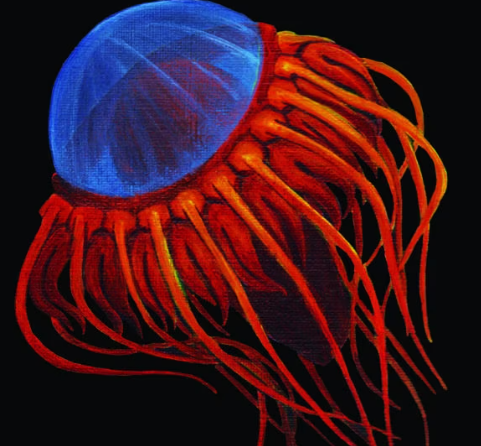 Atolla Jelly content.png