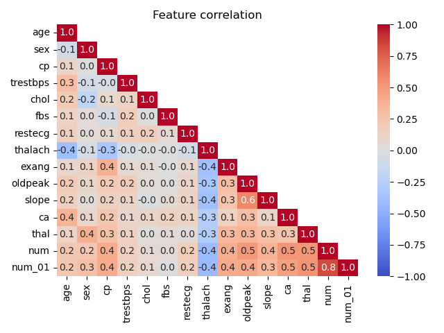 10.feature_correlation.png