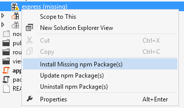 npm Node Options