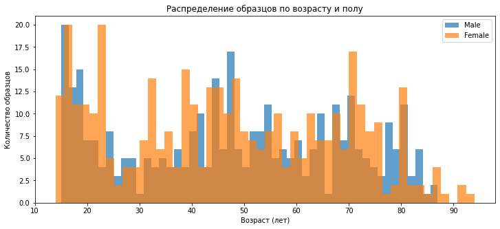 sex_age_distribution.png