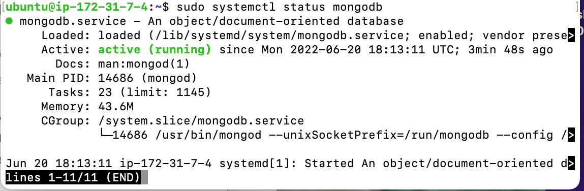 MongoDB-Status.png