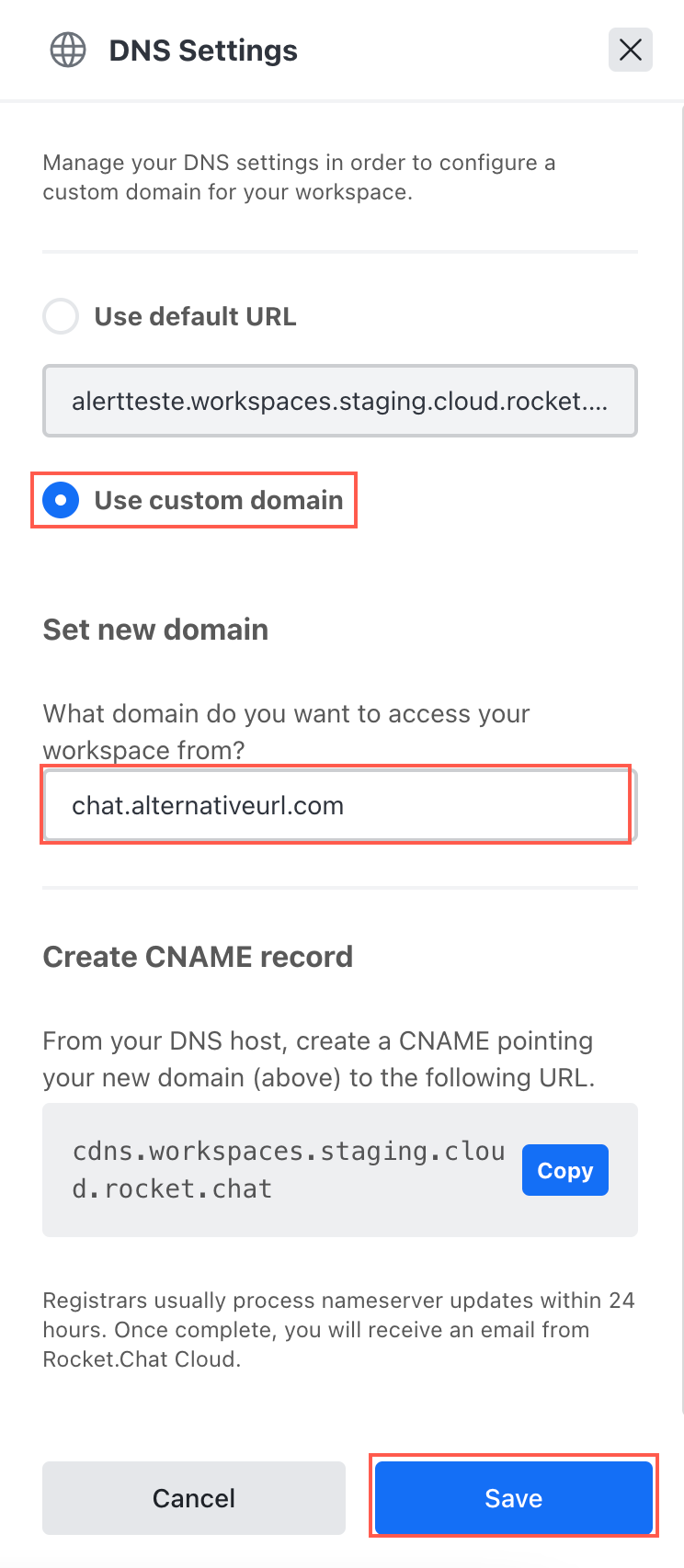 DNS settings saas.png