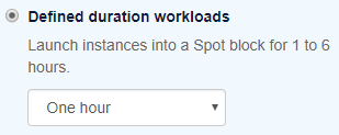 agent-defined-duration-workloads.png