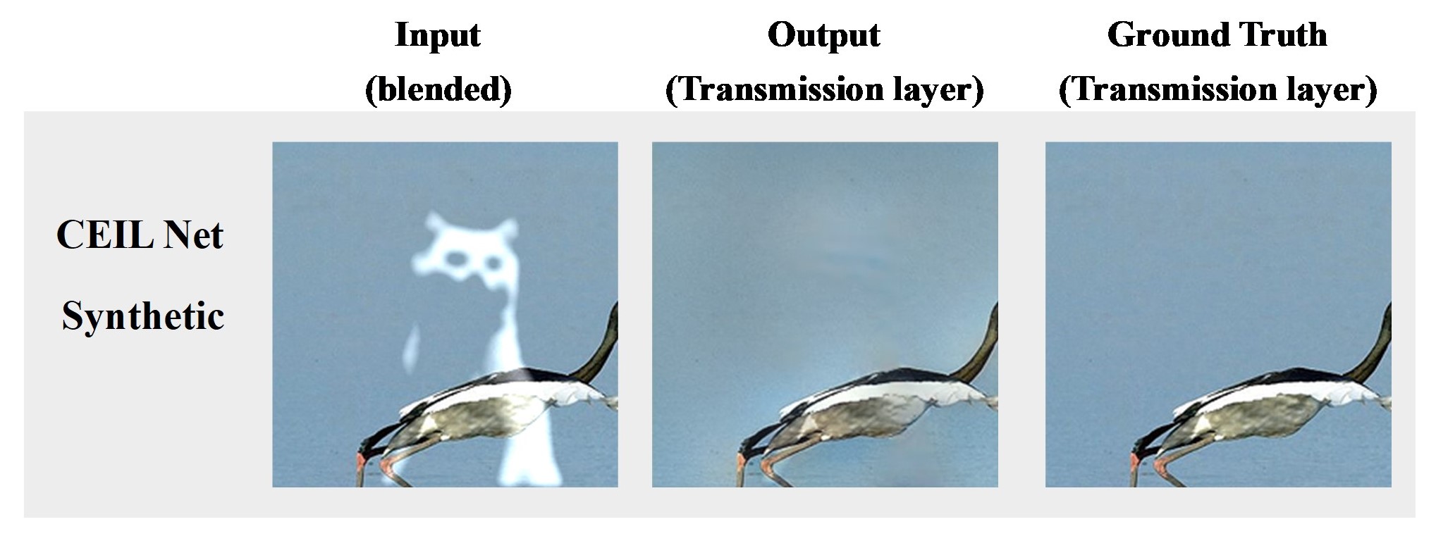 model2_result.jpg