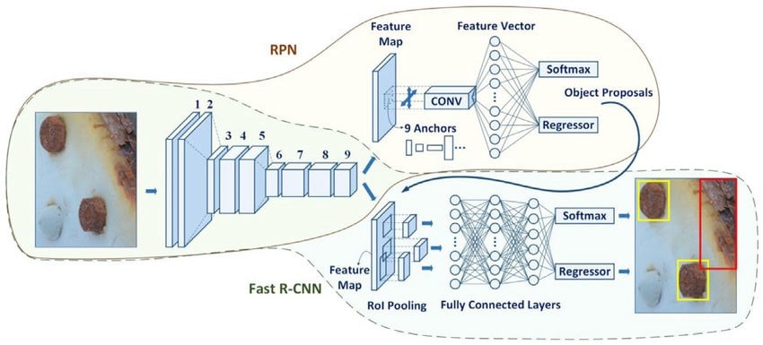 faster rcnn_architecture.jpg