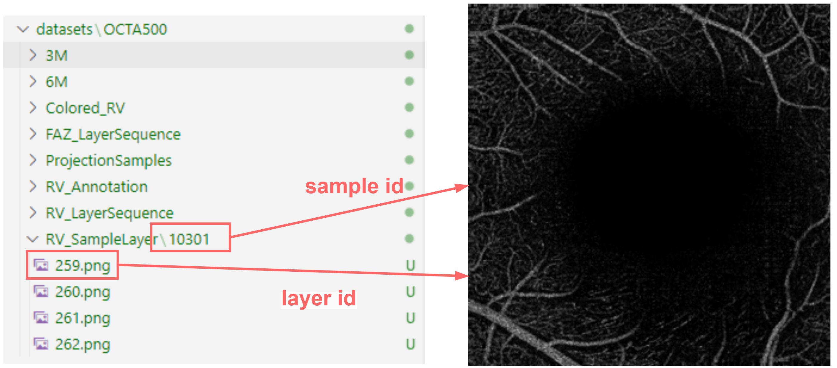 sparse_annotation_prediction.png