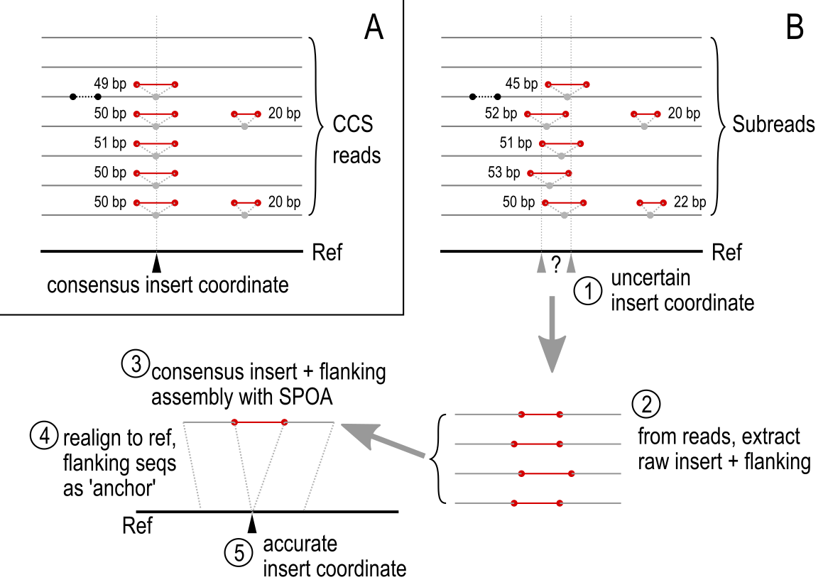 milraa_diagram.png