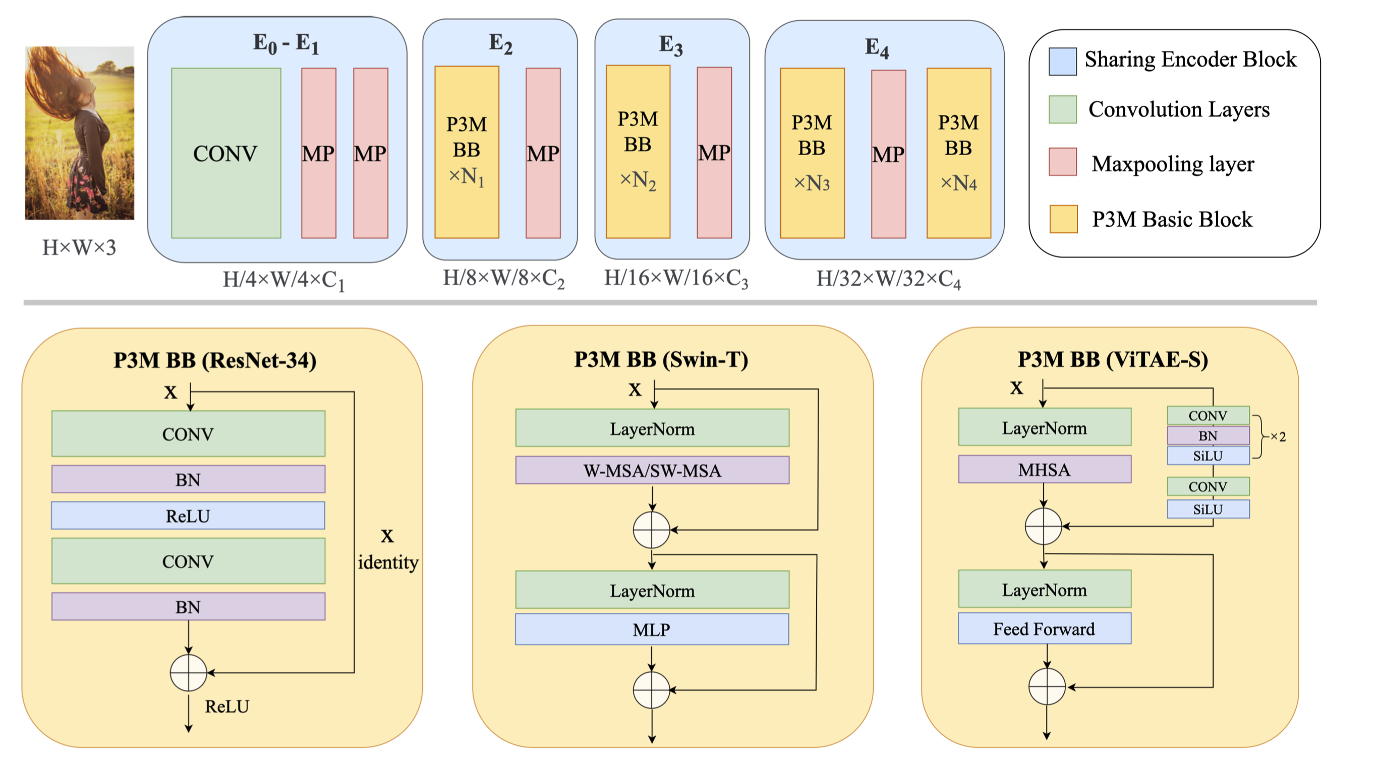 p3m-net-variants.png