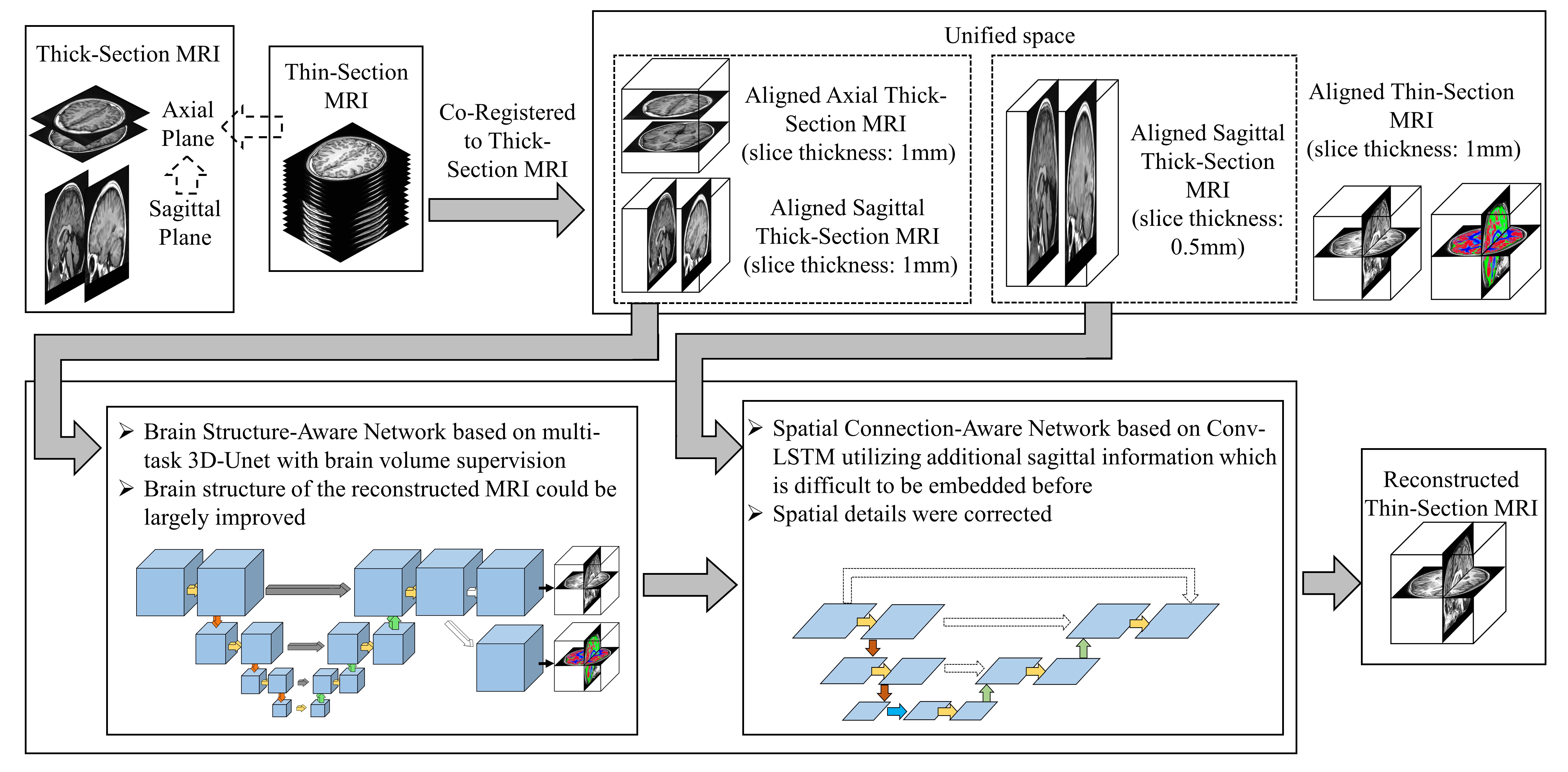 Fig1_Overview.jpg