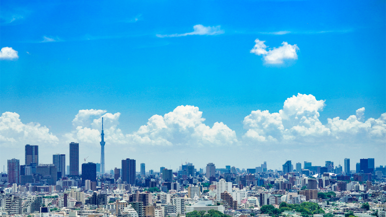 tokyo_morning-blue-ryo-yoshitake-cnIK3nLZ0Sg-unsplash.png