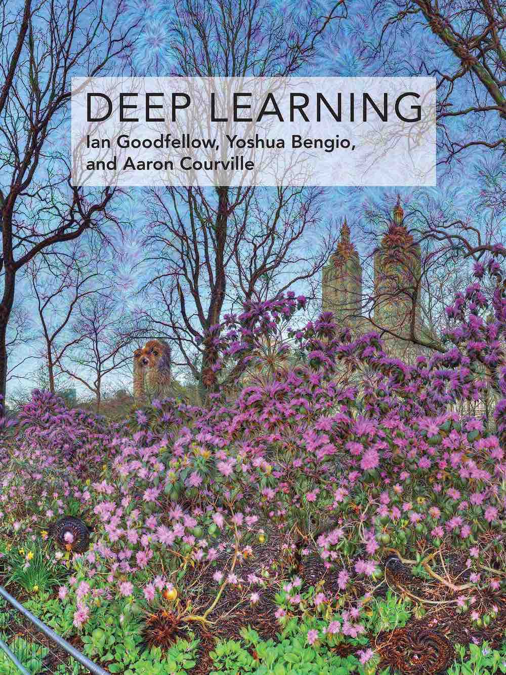 deep-learning-book-goodfellow-cover.jpg