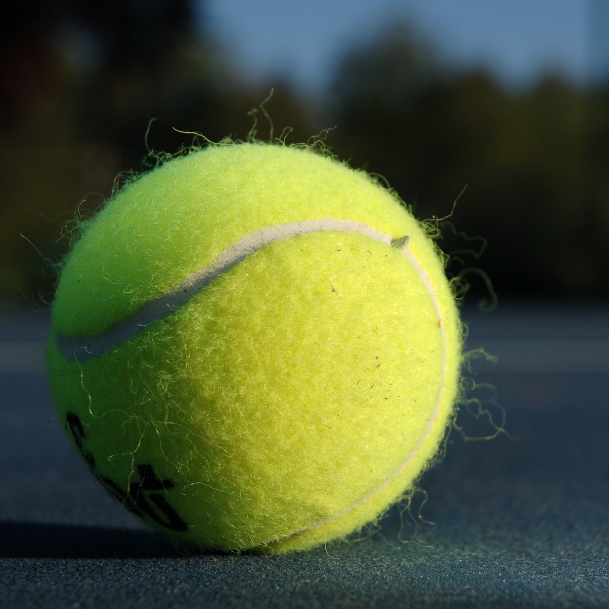 tennis_ball.jpg