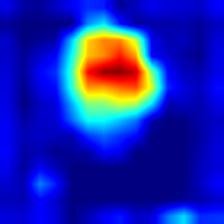 pic1-vgg16-heatmap.jpg