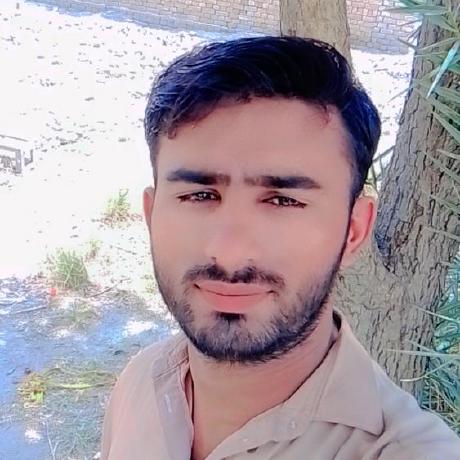 Awais Malik