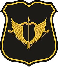 sso_sleeve_insignia_n27196.jpg