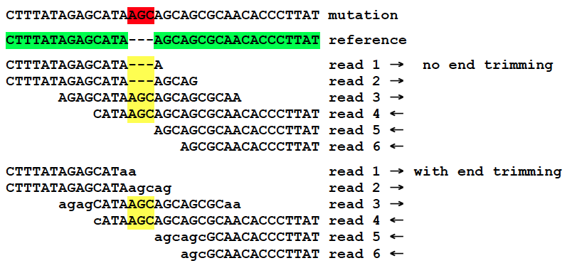 Indel mutation prediction aided by end trimming.