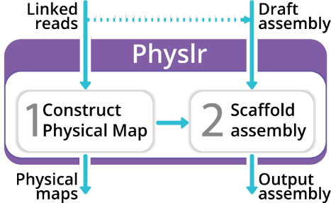 physlr-stages.png