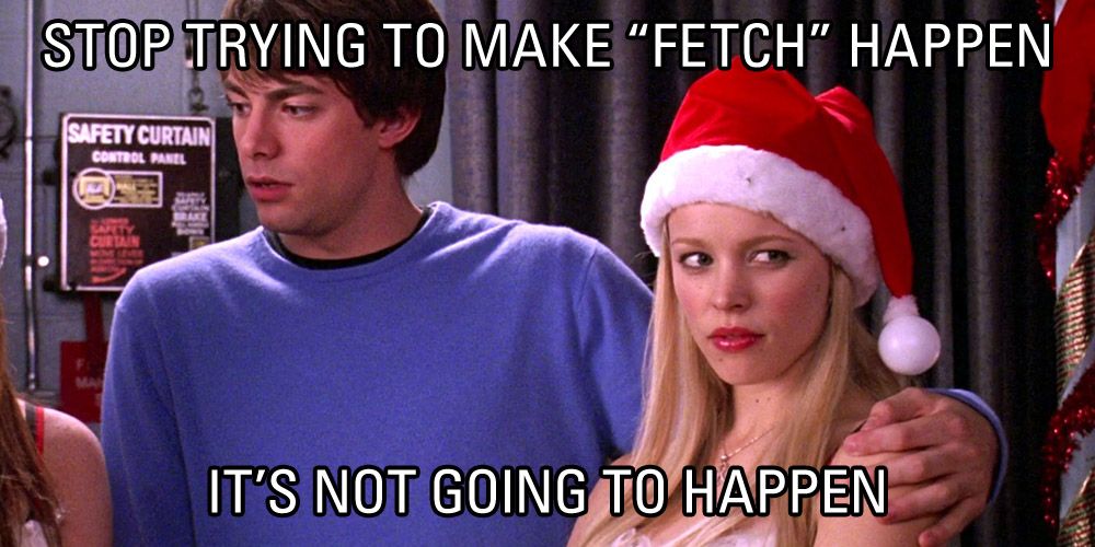 fetch.jpg