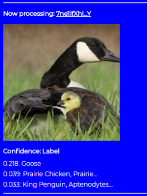 ss17-goose.png