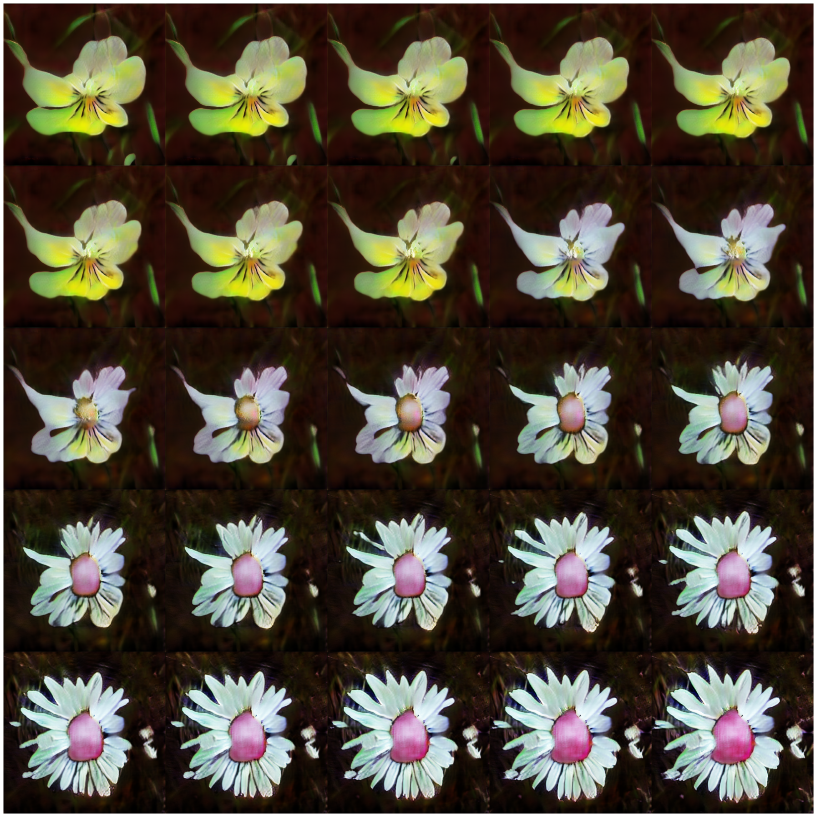 flower_interpolation_512.png