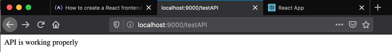 api.png