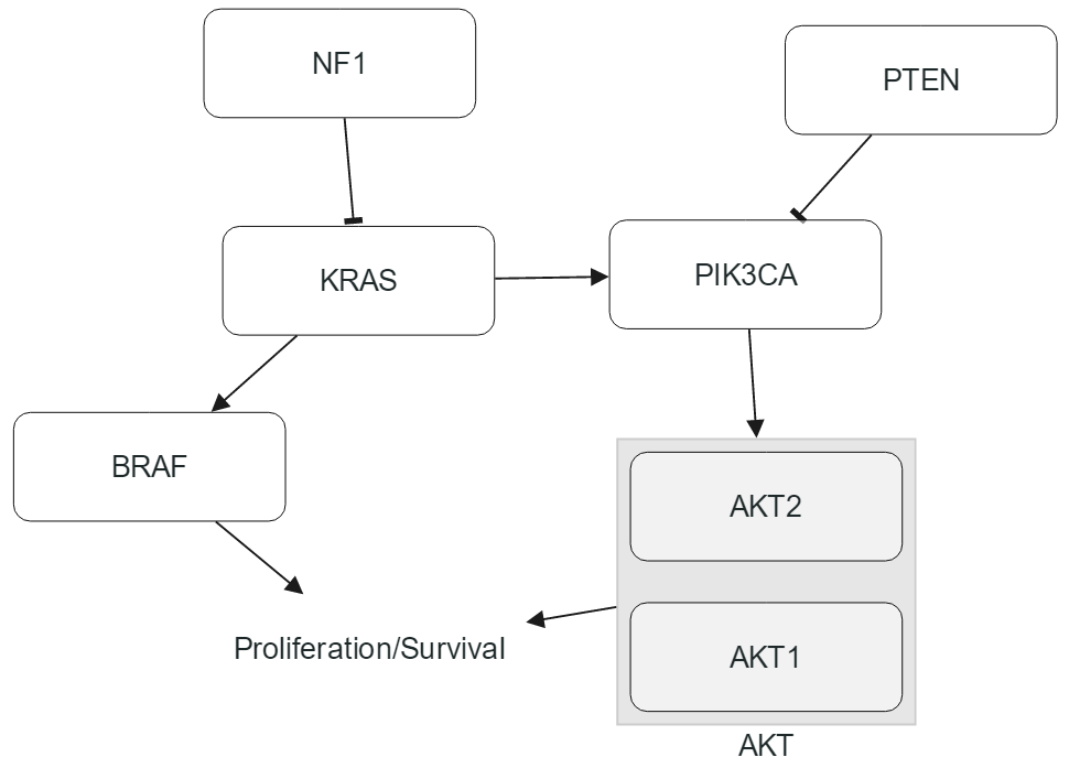 sample-pathway.png