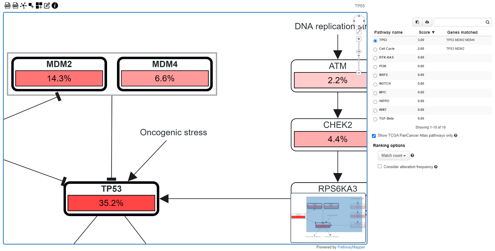 sample-screenshot-cBioPortal-results.png