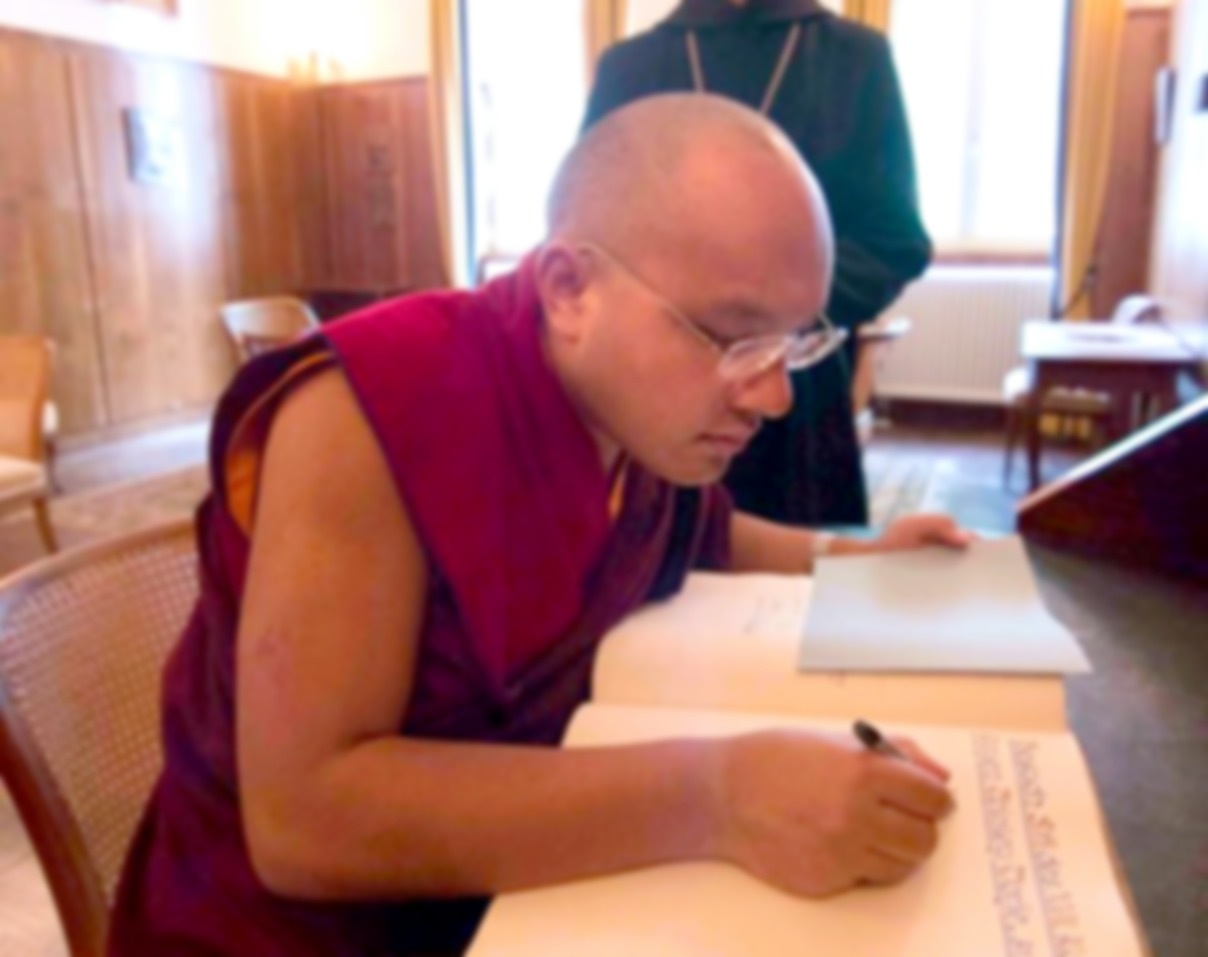 karmapa3.jpeg