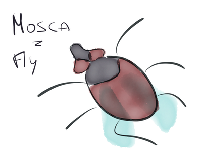 mosca.png