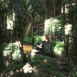 Meditative_peace_in_a_sunlit_forest.jpg