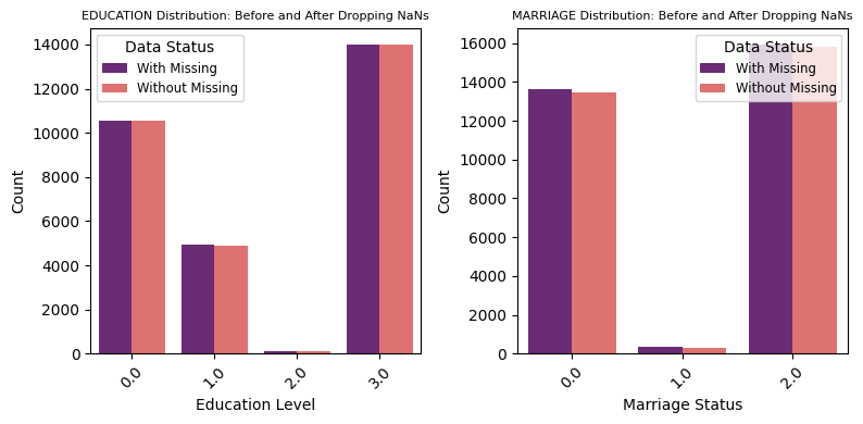 IDA_drop_countplot.png