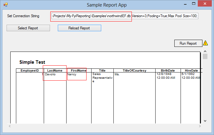 My-FyiReporting Connection String Runtime Image 8