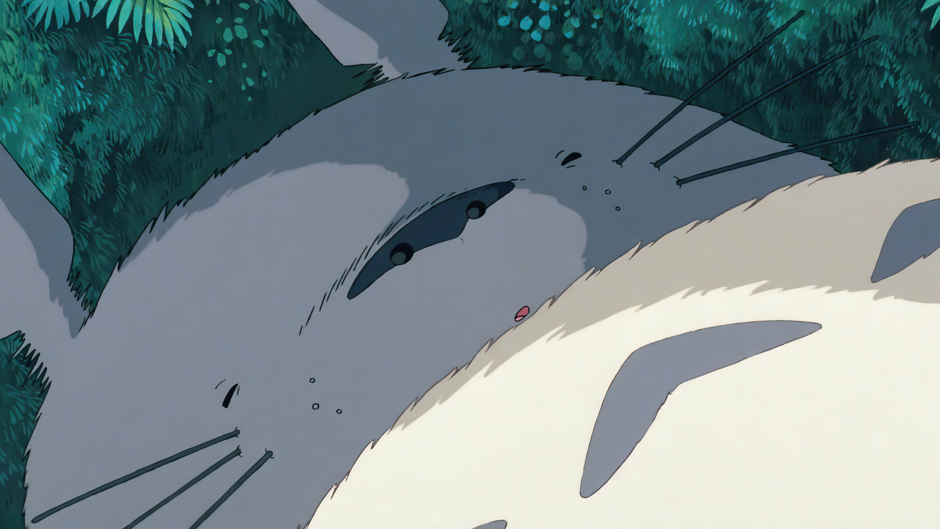 sleeping_totoro.jpg