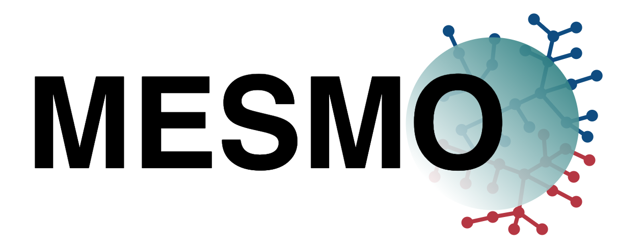 mesmo_logo.png