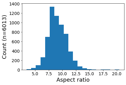 aspect_ratio_distribution.png