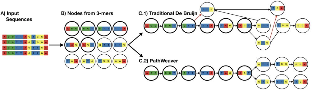 PathWeaver_figures_for_github_1.001.jpeg