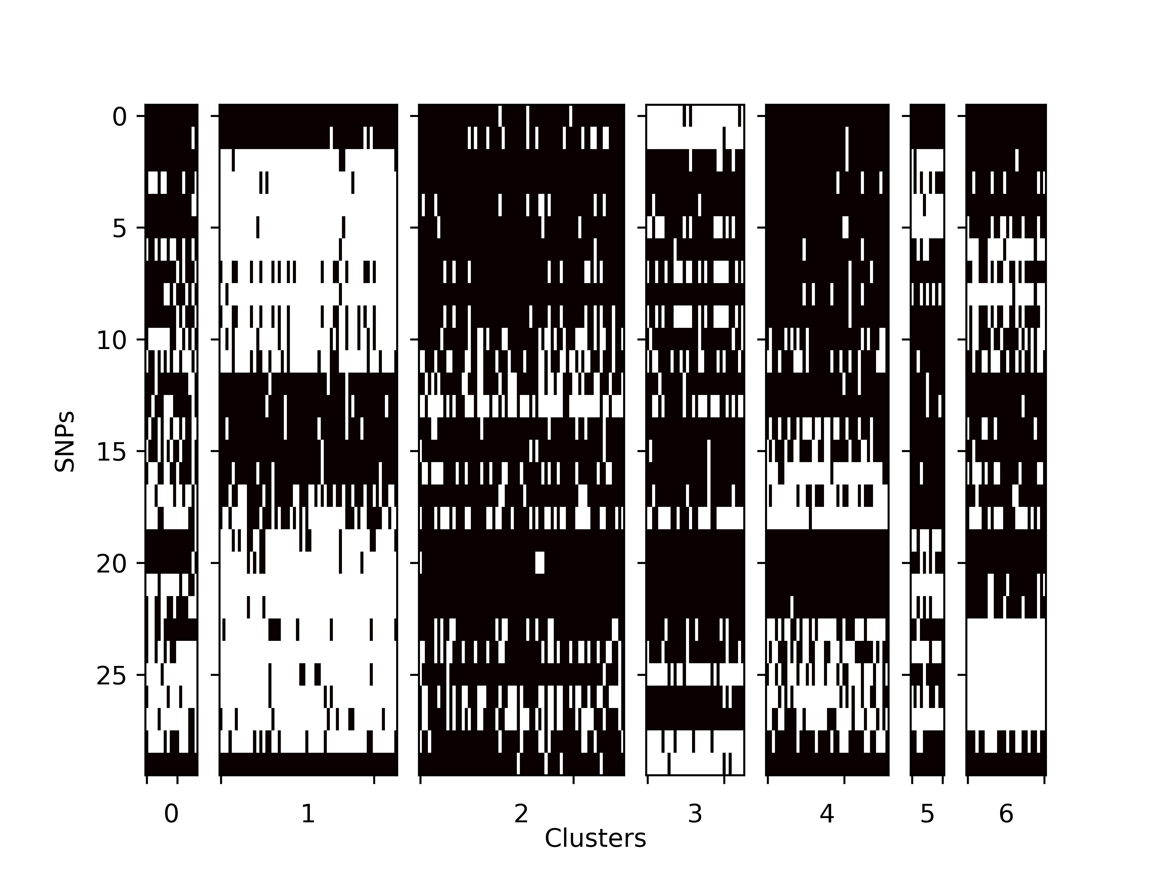 SNP_matrix.jpg