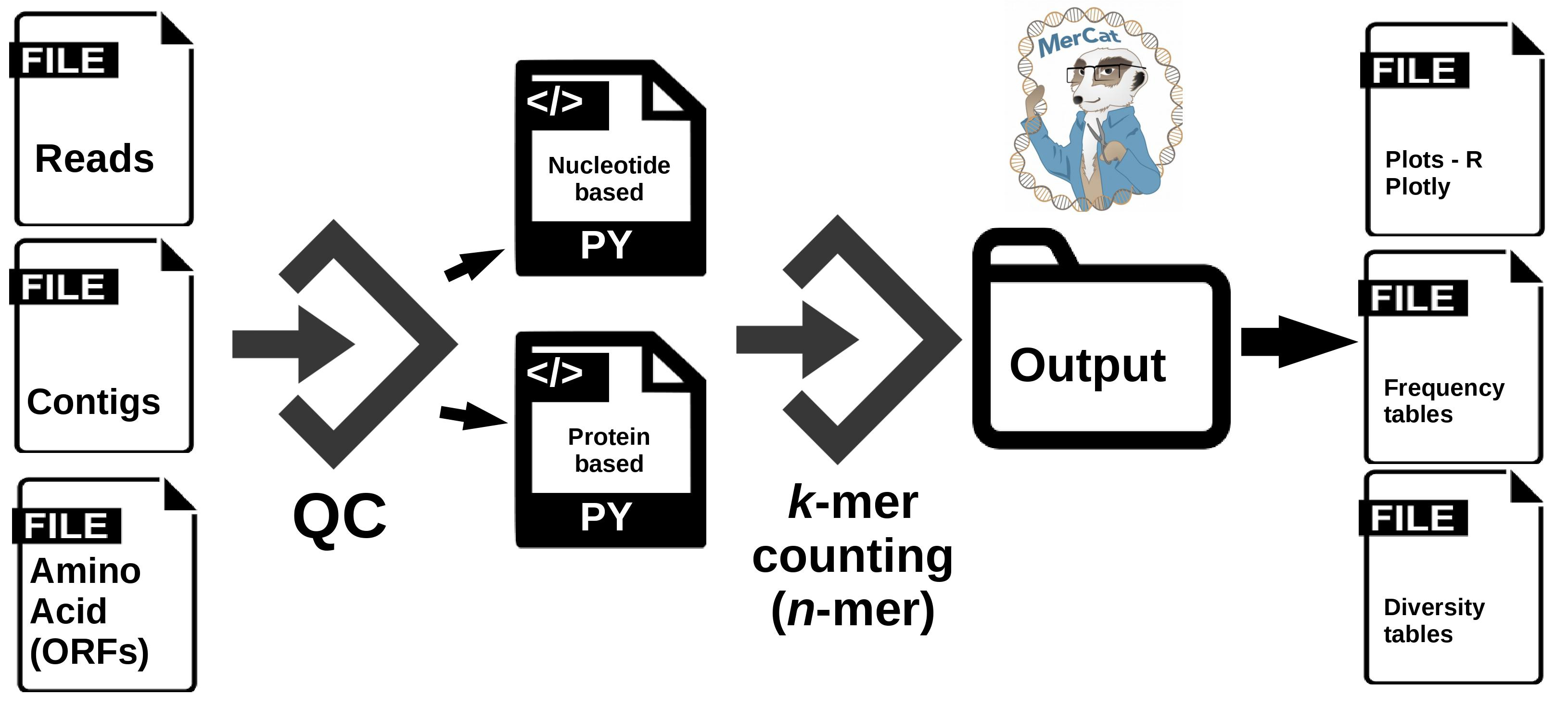 mercat_workflow.jpg