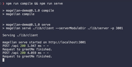 magellan-server-terminal.jpg