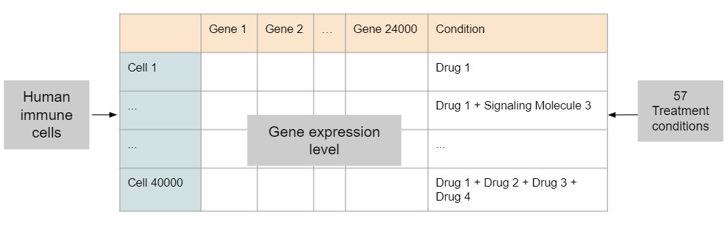 dataset.PNG