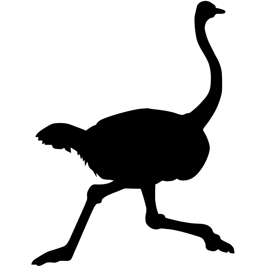 nostr_logo_blk.png