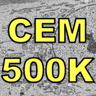 cem500k.jpg