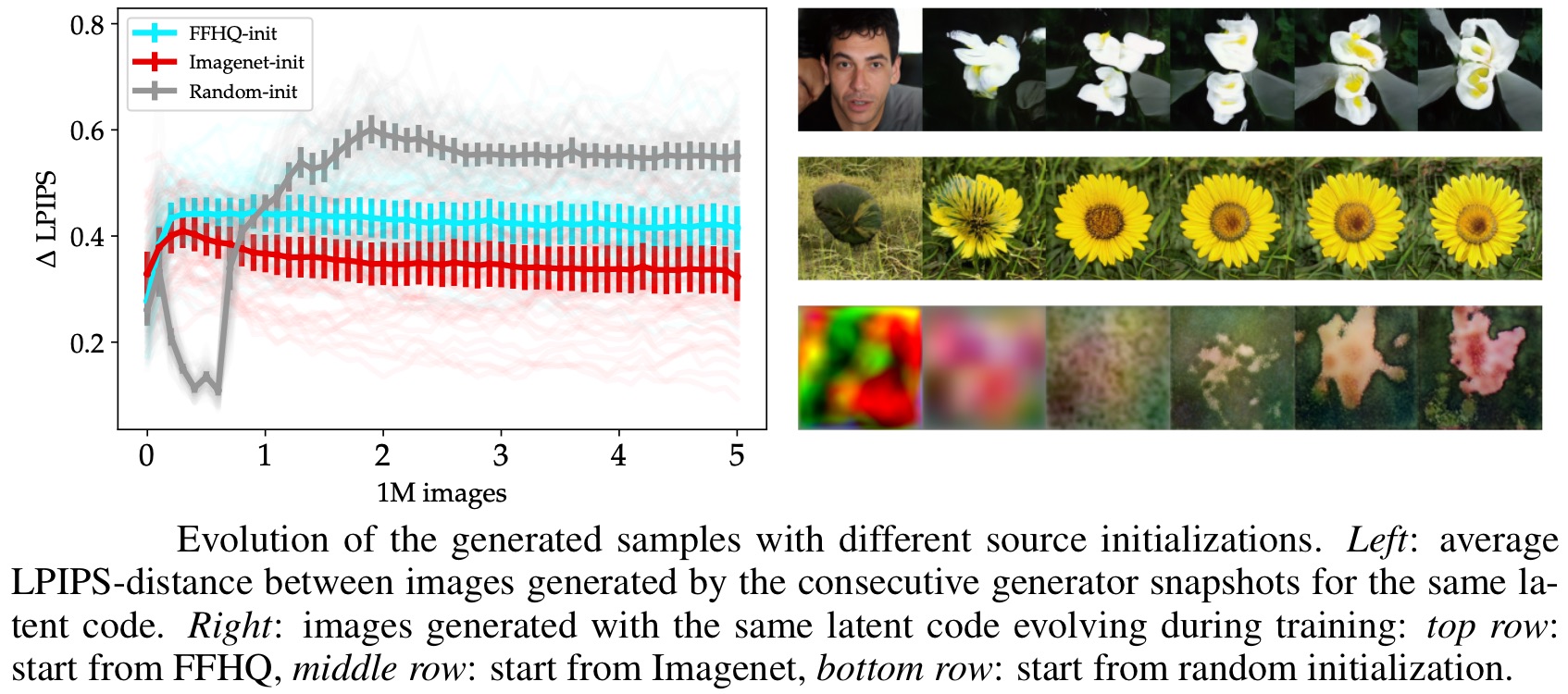 sample_evolution.jpg